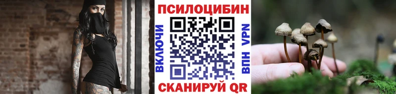 Галлюциногенные грибы Psilocybe  сайты даркнета клад  Подольск 