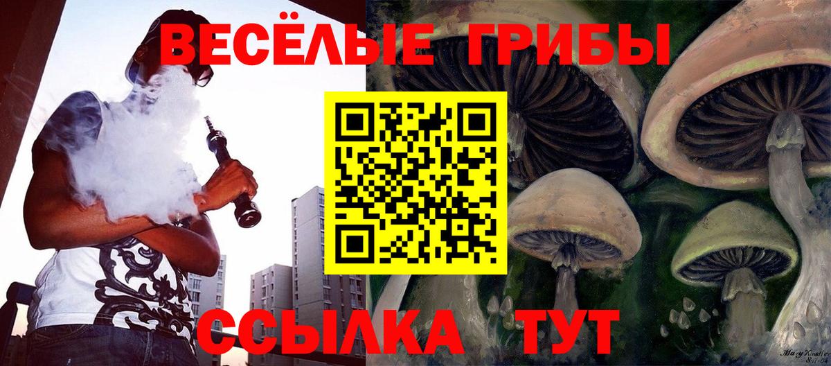 Галлюциногенные грибы мицелий  Вход с VPN  закладка  Подольск  Псилоцибиновые грибы мухоморы 